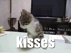 Kiss Cat